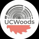 Deanna Brewer - @uc_woods - Instagram