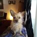 Deanna Brewer - Facebook