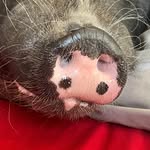 Deanna Casey - @deanna.casey.45 - Instagram
