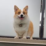 Deanna Chen - @deanna.chan.16 - Instagram