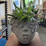 Deanna Donovan - @deannadonovan7 - Instagram