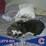 Deanna Fields - @deannafields4018 - Instagram