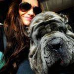 Deanna Freeman - @speakeasy.french.bulldogs - Instagram