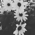 @deanna_.griggs - Instagram