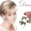 diannaharkness - @diannaharkness - TikTok