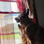 Deanna Henry - @fairy72girl - Instagram