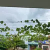 Deanna Howe - @deanna.howe6 - TikTok