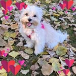 Deanna Hunter - @dlhk2001 - Instagram