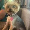 Deanna Koellner Hunter - @deanna0626 - TikTok
