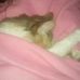 Deanna Hurst - Facebook