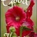 Deanna Hurst - Facebook