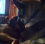 Deanna Jensen Mensing - Facebook