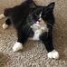 Deanna Kaiser - Facebook