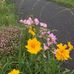 Deanna Kidd - Facebook