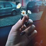 Deanna Long - @monochromatic_melodramatic_ - Instagram