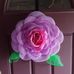 Deanna Maher - Facebook