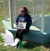 Deanna Maines - Facebook