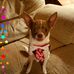 Deana McClendon - Facebook