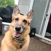deannamcdowell947 - @deannamcdowell947 - TikTok