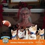 Deanna Meyer - @deannameyer6029 - Instagram