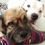 Deanna Meyer - @deannameyer34 - Instagram