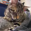 deannamillward142 - @deannamillward142 - TikTok