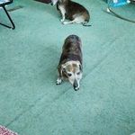 Deanna Oster - @dealy50 - Instagram