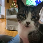 Deanna Rowland Miller - @demiller508 - Instagram