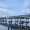 Deanna Roy - @deanna.roy8 - TikTok