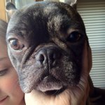 Deanna Ryan - @deebetter6 - Instagram