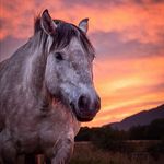 Deanna Ryan - @dedahod660 - Instagram