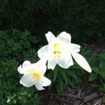 Deanna Tedman Schroeder - @raydene55 - Instagram