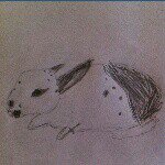 deanna serio - @hoppingbunny1996 - Instagram