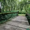 Deanna Shepherd - @deanna.shepherd5 - TikTok