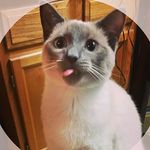 Deanna Shoemaker - @drae1023 - Instagram