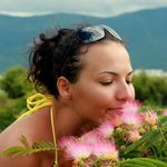 deanna stark - @deannastark391 - Instagram