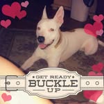 Deanna Stiltner - @deanna.stiltner1 - Instagram