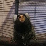 Deanna Tierney - @deannatierney - Instagram