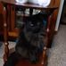 Deanna Weaver - Facebook