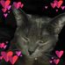 Deanna Wise - Facebook