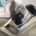 Deanna Wright - @deannawright9550 - Instagram