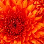 Deanne Adams - Facebook