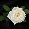 Deanne Adams - @they.callme_dee - TikTok