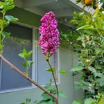 Deanna Allison - @dx2a332 - Instagram