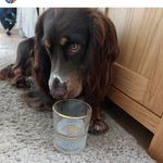 Deanne E. Applegate - @deannee.applegate - Instagram