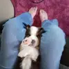 Deann Ash - @deann.ash - TikTok