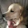 deanne ashjian - @deanne5ashjian - TikTok