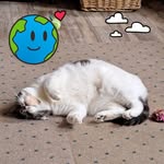 Deanna Ayers Jacobs - @catfandee65 - Instagram