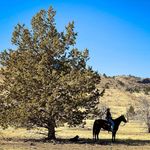 Deanne Bain - @bainbuster - Instagram