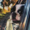 CoCoTree us - @deanne.baker - TikTok